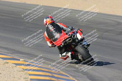 media/Nov-12-2023-SoCal Trackdays (Sun) [[5d1fba4e7d]]/Turn 10 Backside (115pm)/